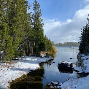 Preview wallpaper coast, snow, river, trees, nature