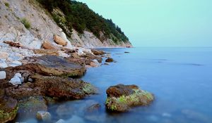 Preview wallpaper coast, stones, moss, rocks, smooth surface, silence