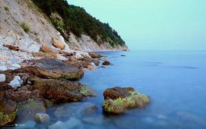 Preview wallpaper coast, stones, moss, rocks, smooth surface, silence