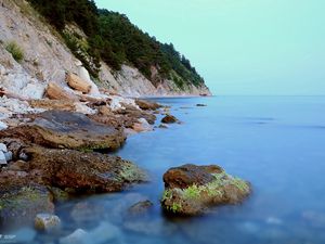 Preview wallpaper coast, stones, moss, rocks, smooth surface, silence