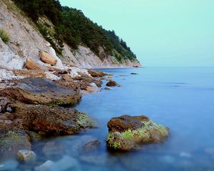 Preview wallpaper coast, stones, moss, rocks, smooth surface, silence