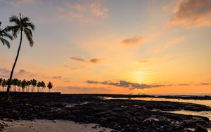 Preview wallpaper coast, stones, palm trees, sunset, nature