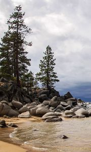 Preview wallpaper coast, stones, spruce, sea, sand