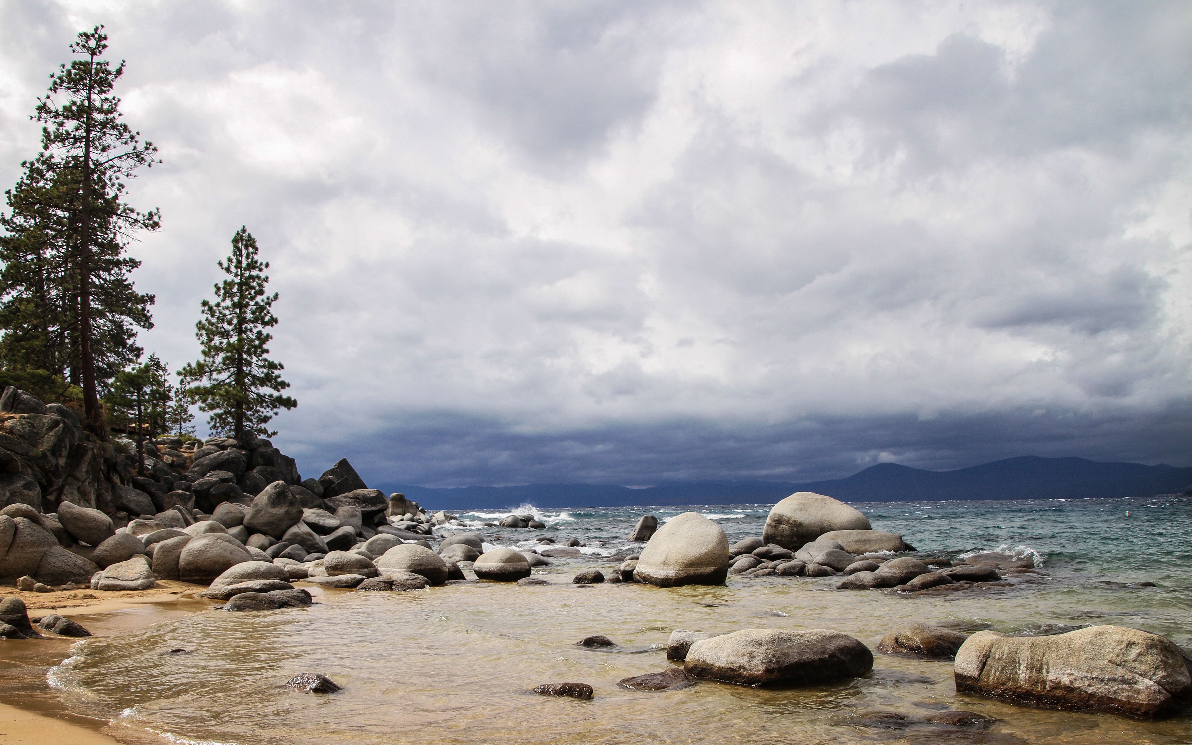 Download wallpaper 3840x2400 coast, stones, spruce, sea, sand 4k ultra