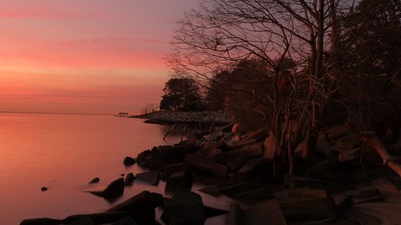 Wallpaper coast, stones, trees, sea, sunset, dark
