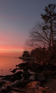 Preview wallpaper coast, stones, trees, sea, sunset, dark
