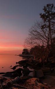 Preview wallpaper coast, stones, trees, sea, sunset, dark