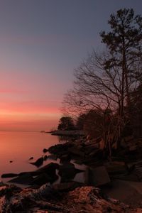 Preview wallpaper coast, stones, trees, sea, sunset, dark