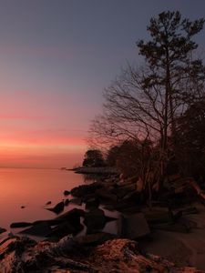 Preview wallpaper coast, stones, trees, sea, sunset, dark