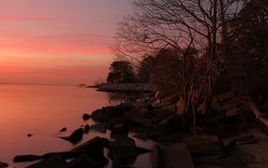 Preview wallpaper coast, stones, trees, sea, sunset, dark