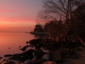 Preview wallpaper coast, stones, trees, sea, sunset, dark