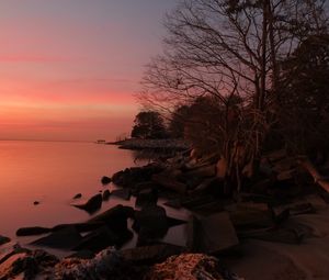 Preview wallpaper coast, stones, trees, sea, sunset, dark