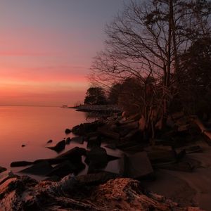 Preview wallpaper coast, stones, trees, sea, sunset, dark