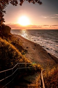 Preview wallpaper coast, sun, stairs, trees, branches