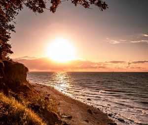 Preview wallpaper coast, sun, stairs, trees, branches