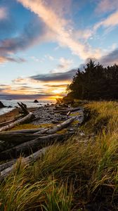 Preview wallpaper coast, sunset, forest, grass, evening