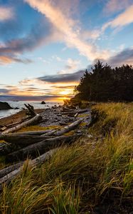 Preview wallpaper coast, sunset, forest, grass, evening