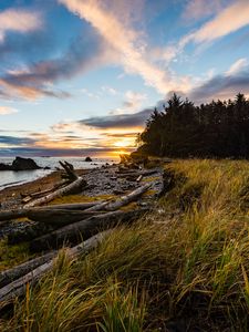 Preview wallpaper coast, sunset, forest, grass, evening