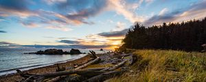 Preview wallpaper coast, sunset, forest, grass, evening
