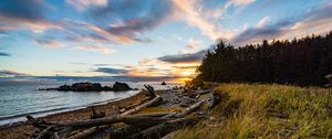 Preview wallpaper coast, sunset, forest, grass, evening