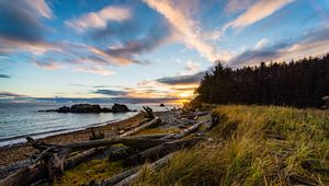 Preview wallpaper coast, sunset, forest, grass, evening
