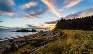 Preview wallpaper coast, sunset, forest, grass, evening