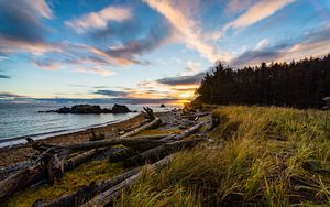 Preview wallpaper coast, sunset, forest, grass, evening