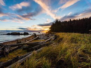 Preview wallpaper coast, sunset, forest, grass, evening