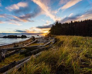 Preview wallpaper coast, sunset, forest, grass, evening