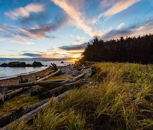 Preview wallpaper coast, sunset, forest, grass, evening