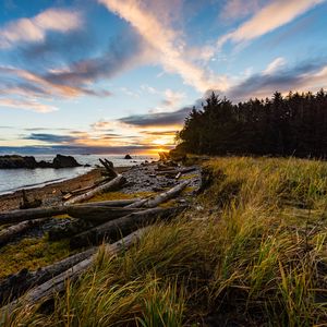 Preview wallpaper coast, sunset, forest, grass, evening