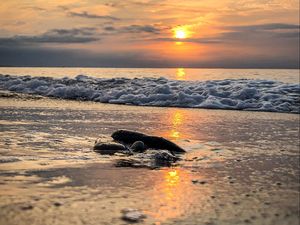 Preview wallpaper coast, sunset, waves, stone, horizon