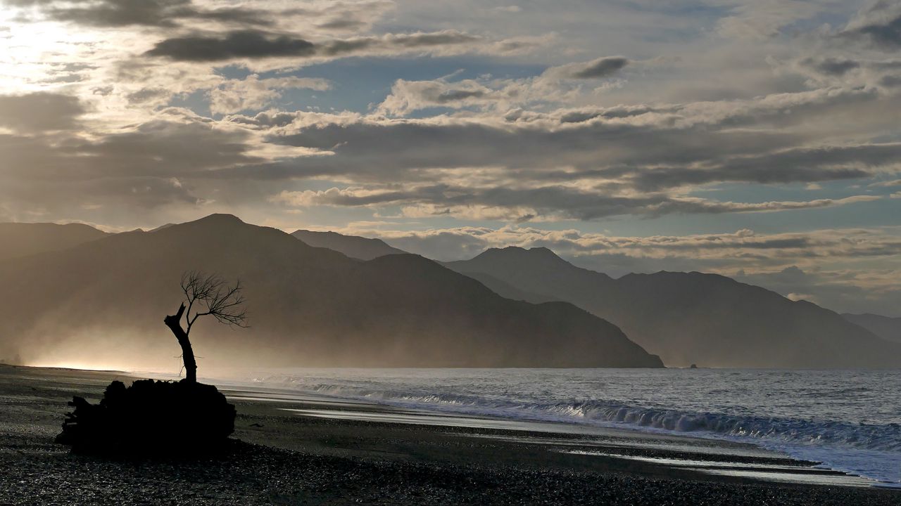 Wallpaper coast, tree, mountains, fog, clouds