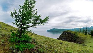 Preview wallpaper coast, tree, stones, earth, grass, lake, siberia