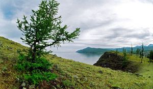 Preview wallpaper coast, tree, stones, earth, grass, lake, siberia