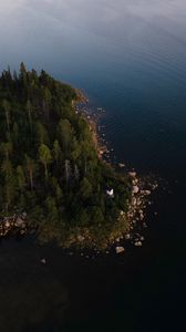Preview wallpaper coast, trees, aerial view, forest, water