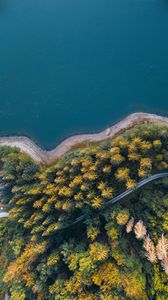 Preview wallpaper coast, trees, aerial view, forest, water, road