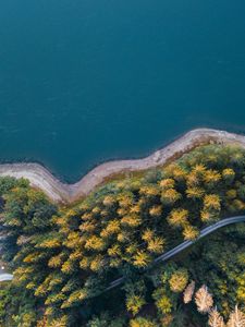 Preview wallpaper coast, trees, aerial view, forest, water, road