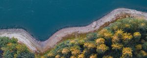 Preview wallpaper coast, trees, aerial view, forest, water, road