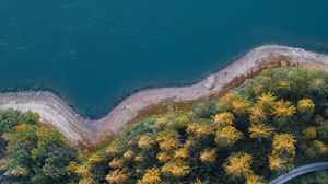 Preview wallpaper coast, trees, aerial view, forest, water, road