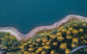 Preview wallpaper coast, trees, aerial view, forest, water, road