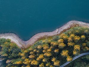 Preview wallpaper coast, trees, aerial view, forest, water, road