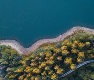 Preview wallpaper coast, trees, aerial view, forest, water, road
