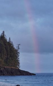 Preview wallpaper coast, trees, forest, water, rainbow, landscape