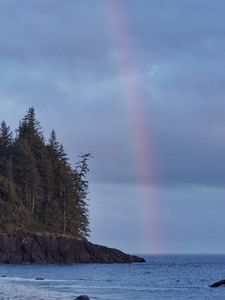 Preview wallpaper coast, trees, forest, water, rainbow, landscape