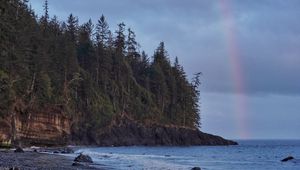 Preview wallpaper coast, trees, forest, water, rainbow, landscape