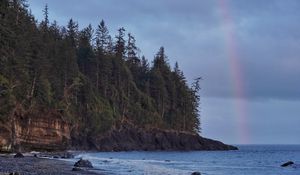 Preview wallpaper coast, trees, forest, water, rainbow, landscape