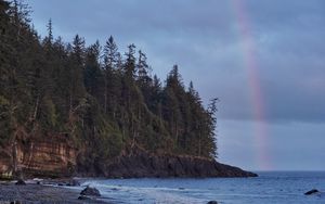 Preview wallpaper coast, trees, forest, water, rainbow, landscape