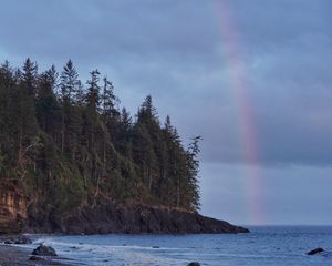 Preview wallpaper coast, trees, forest, water, rainbow, landscape