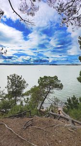 Preview wallpaper coast, trees, lake, clouds